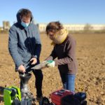 Siembra de garbanzos en Sádaba