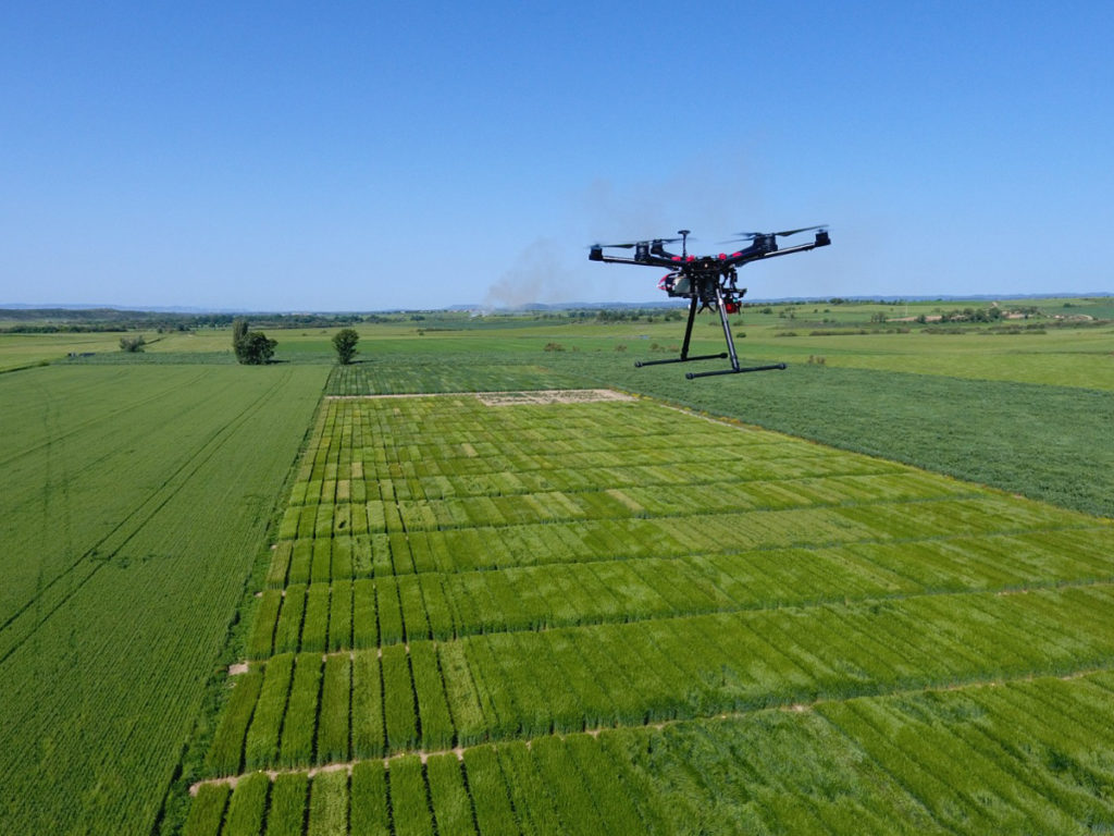Dron sobre una finca de ensayos en Lupiñén
