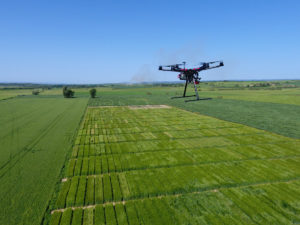 Dron sobre una finca de ensayos en Lupiñén